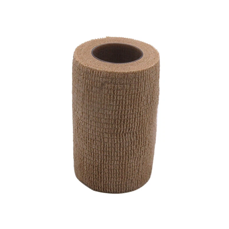 మంచు కట్టు